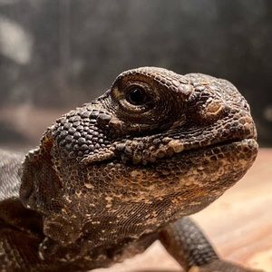 Meet your Posher, Nadia